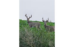 County Rd 147A, Custer, MT 59024