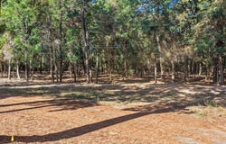 Lockhart, Pittsburg, TX 75686