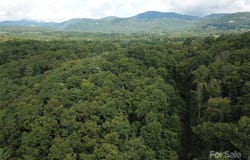 Pounding Mill, Hendersonville, NC 28792