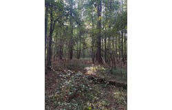 Estes Road, Louisville, MS 39339
