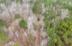 6052 Blocker Road, Marshall, TX 75672