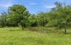 FM 880, Moran, TX 76464
