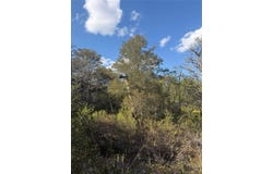Palikea Cir lot: 539, Bastrop, TX 78602