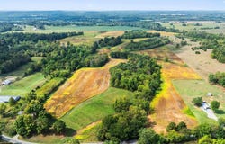 1295 Buford Road, Utica, KY 42376