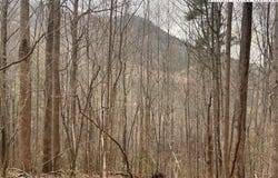 1122 Three Mile Highway, Newland, NC 28657