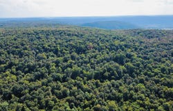 4520 Iron Mountain Road, Mountain View, AR 72560