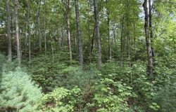 Confederate Circle lot: 9, Murphy, NC 28906