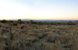 Vic 223 Ste, Llano, CA 93544