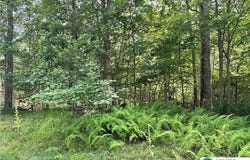 Timber Hill Road, Price Twp, PA 18332