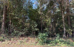 Starling Rd lot: 130, Americus, GA 31719