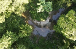 County Road 1, Pine Hill, AL 36769