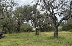 Bedford Dr, Spicewood, TX 78669