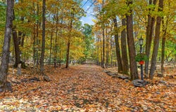 3 Maverick Terrace, Woodstock, NY 12498