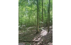 Benson Road, Dallas, GA 30132