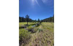 Roney Flat Road, Adin, CA 96006