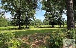 9131 Hwy 67, Simms, TX 75574