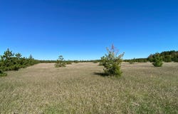 Crooked River Dr - Tract C, Park Rapids, MN 56470