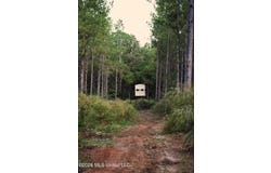 Mallalieu Drive, Ruth, MS 39662