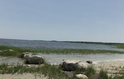 Caliente Drive lot: 7 And 8, Crawfordville, FL 32327