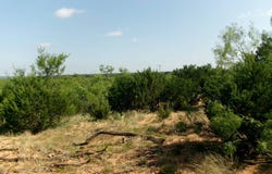 174 CR 182, Ovalo, TX 79541