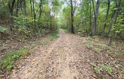 NC 8147, Jasper, AR 72641