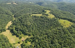 8829 Clay Road, Left Hand, WV 25251