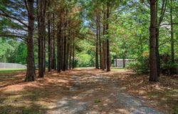 156 River Ln, Mena, AR 71953