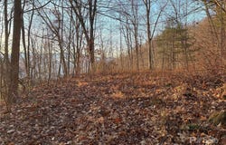 899 Hyacinth Drive, Clyde, NC 28721