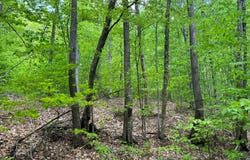 1.4 Cobble Creek Rd., Chester, NY 12853