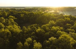 Obion River, Obion, TN 38240