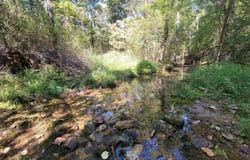 County Road 330, Gainesville, MO 65655