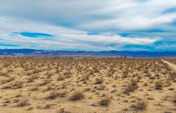 62155 Moonlight Mesa Street, Joshua Tree, CA 92252