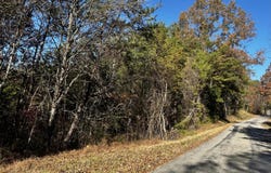 Shaddon Road Lot 2, Tellico Plains, TN 37385