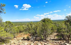 Tierra de Dios lot: 7, Rowe, NM 87562