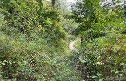 High Rock View Drive, Canton, NC 28716