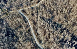Mill Creek Rd, Sunbright, TN 37872