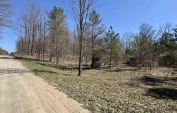N 1 Road, Buckley, MI 49620