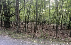 9433 S ANNIE LANE, NEWAYGO, MI 49337