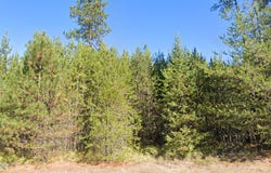 755 Tweedie Rd, Blanchard, ID 83804