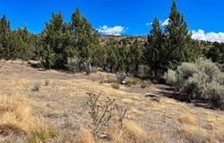 219 VALLEY VIEW Dr, JohnDay, OR 97845