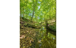 Ridgedale Road, Six Mile, SC 29682