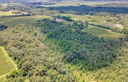 WHITEHALL ROAD, Mangham, LA 71259