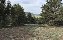 Sunflower Drive lot: 6, Ramah, NM 87321
