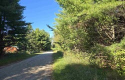 10534 SUNSET, CARP LAKE, MI 49718