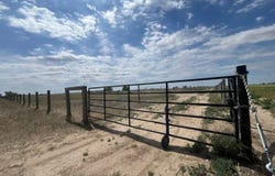 73550 E 160th Ave, Wiggins, CO 80654