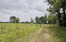 Grant County rd 16, Grapevine, AR 72057