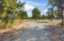 7832 US Highway 287, Bowie, TX 76230
