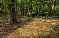 4930 AL-44, Guin, AL 35563