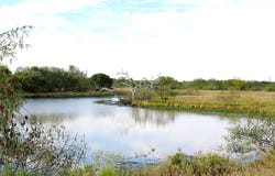 Parcel 1 Lobo Lane, Columbus, TX 78934