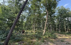 2668 W Moonflower, Baldwin, MI 49304